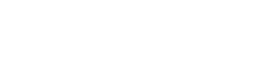 Nachtzon logo